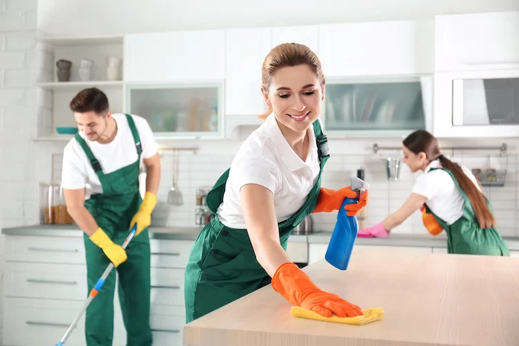 Amal-cleaning - 17